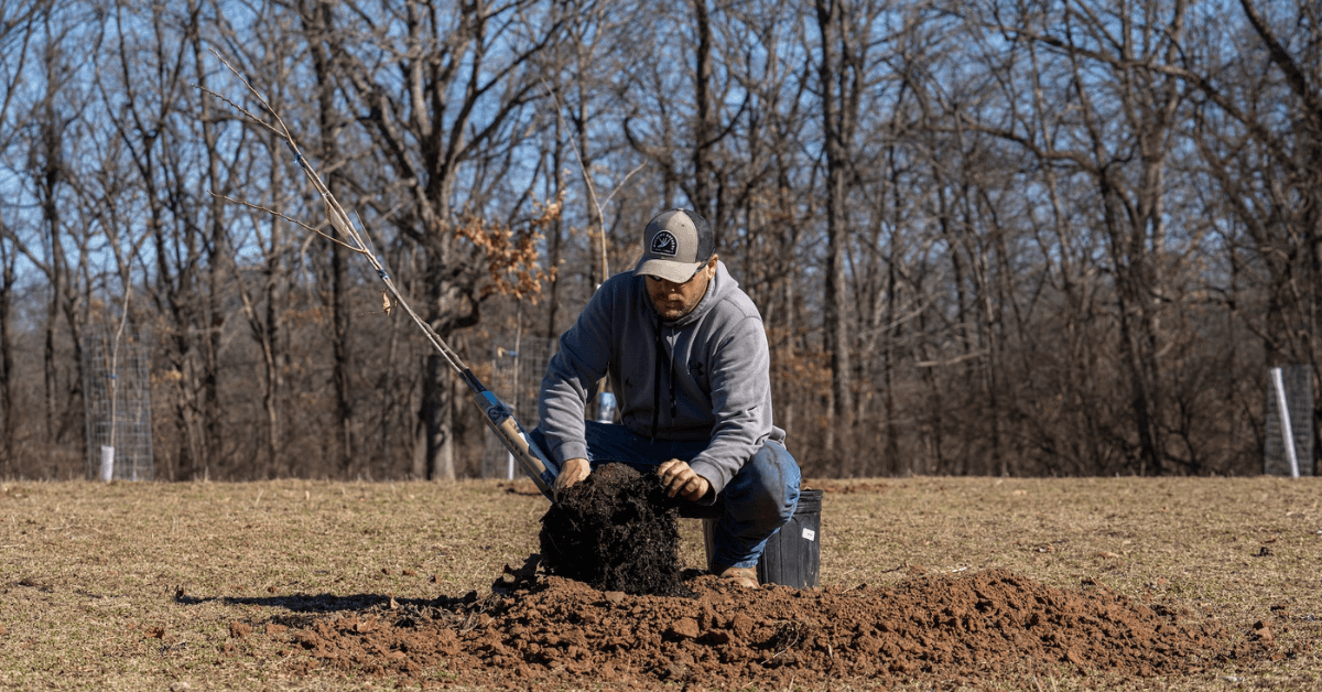 Featured Image for Maximizing Wildlife Food Sources with Strategic Mast Tree Planting
